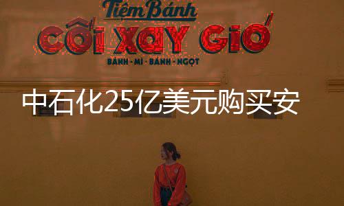 中石化25億美元購買安哥拉深水石油