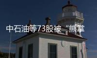 中石油等73股被“熊掌”拍至歷史新低