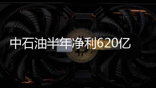 中石油半年凈利620億 被指在美融資少分紅多