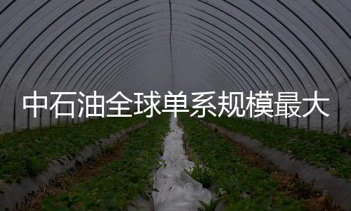 中石油全球單系規(guī)模最大對(duì)二甲苯芳烴聯(lián)合裝置中交