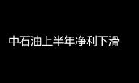 中石油上半年凈利下滑 三大自保公司盈利超4億