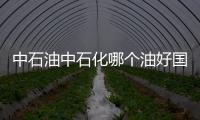 中石油中石化哪個油好國六（中石油中石化哪個油好）
