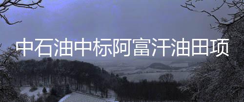 中石油中標阿富汗油田項目 項目儲量8千萬桶