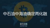 中石油中海油確定兩化融合發展思路