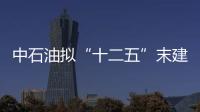 中石油擬“十二五”末建成五大海外油氣合作區
