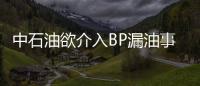 中石油欲介入BP漏油事故處理