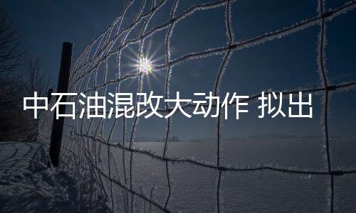 中石油混改大動作 擬出讓兩油田35%股份引民資
