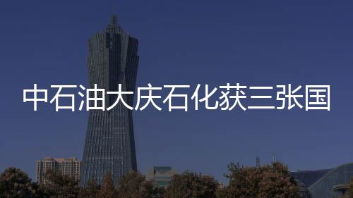 中石油大慶石化獲三張國際IT市場“通行證”