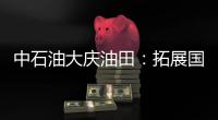 中石油大慶油田：拓展國際市場“三級跳”