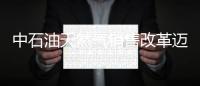 中石油天然氣銷(xiāo)售改革邁大步 南方分公司將運(yùn)行