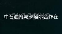 中石油將與卡塔爾合作在中國開發油氣項目