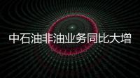 中石油非油業務同比大增70% 商務部大力推動