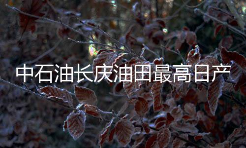 中石油長(zhǎng)慶油田最高日產(chǎn)氣超億方