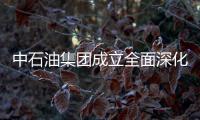 中石油集團成立全面深化改革領導小組