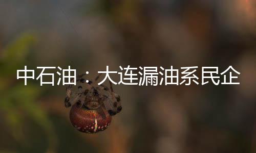 中石油：大連漏油系民企施工損壞管道所致
