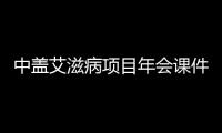 中蓋艾滋病項目年會課件下載