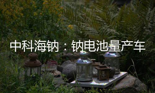 中科海鈉：鈉電池量產(chǎn)車下線，預(yù)計明年1月批量交付