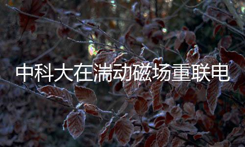 中科大在湍動磁場重聯(lián)電子加速領(lǐng)域取得重要進(jìn)展—新聞—科學(xué)網(wǎng)