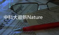 中科大最新Nature: 加壓kagome超導體的電子秩序！ – 材料牛