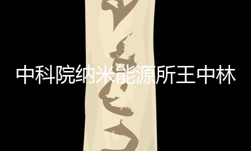 中科院納米能源所王中林院士Adv. Mater. : 金屬