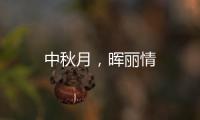 中秋月，暉麗情