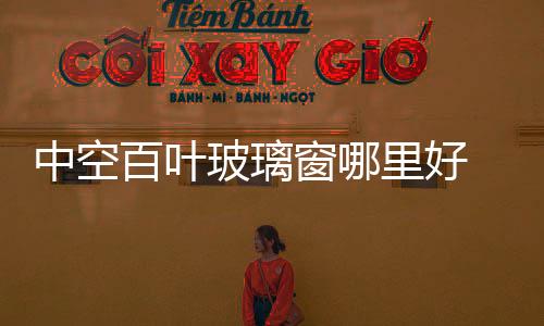 中空百葉玻璃窗哪里好  玻璃百葉窗安裝方法,行業資訊