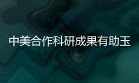 中美合作科研成果有助玉米增產