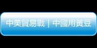 中美貿(mào)易戰(zhàn)｜中國用黃豆擋得了川普嗎？｜天下雜誌
