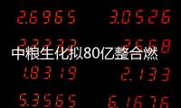 中糧生化擬80億整合燃料乙醇資產 中糧集團專業化重組再下一城