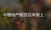 中糧地產能否后來居上：重組方案落槌 營收同比降2成