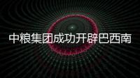 中糧集團成功開辟巴西南非玉米輸華通道