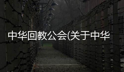 中華回教公會(關(guān)于中華回教公會簡述)