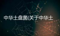 中華土盤菌(關(guān)于中華土盤菌簡述)