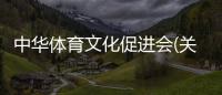 中華體育文化促進(jìn)會(關(guān)于中華體育文化促進(jìn)會簡述)