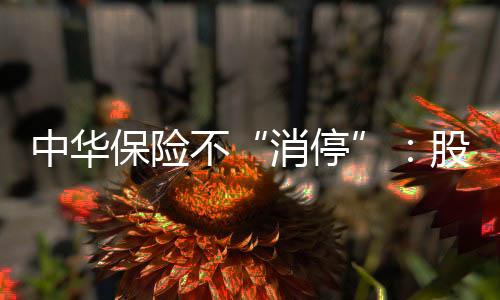 中華保險不“消停”：股東股權、掌門人接連變更