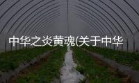 中華之炎黃魂(關(guān)于中華之炎黃魂簡述)