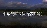 中華武醫穴位治病圖解(關于中華武醫穴位治病圖解簡述)