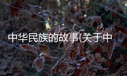 中華民族的故事(關于中華民族的故事簡述)