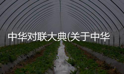 中華對(duì)聯(lián)大典(關(guān)于中華對(duì)聯(lián)大典簡(jiǎn)述)