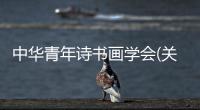 中華青年詩書畫學會(關于中華青年詩書畫學會簡述)