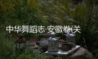 中華舞蹈志·安徽卷(關(guān)于中華舞蹈志·安徽卷簡(jiǎn)述)