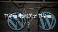 中華連珠藻(關于中華連珠藻簡述)