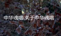 中華魂唱(關(guān)于中華魂唱簡述)