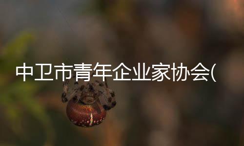 中衛(wèi)市青年企業(yè)家協(xié)會(關(guān)于中衛(wèi)市青年企業(yè)家協(xié)會簡述)