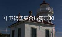 中衛(wèi)鋼塑復(fù)合拉筋帶30020B施工方案