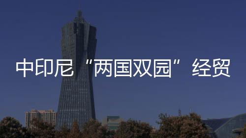 中印尼“兩國雙園”經貿成果展示區揭牌