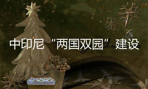 中印尼“兩國雙園”建設駛入快車道