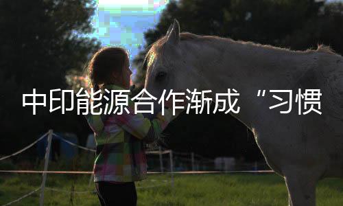 中印能源合作漸成“習慣” 石油企業建立信任