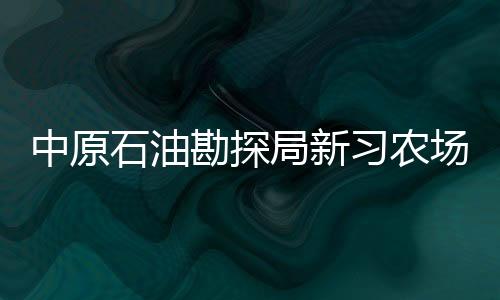 中原石油勘探局新習農(nóng)場(關(guān)于中原石油勘探局新習農(nóng)場簡述)
