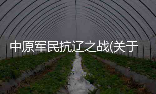 中原軍民抗遼之戰(關于中原軍民抗遼之戰簡述)